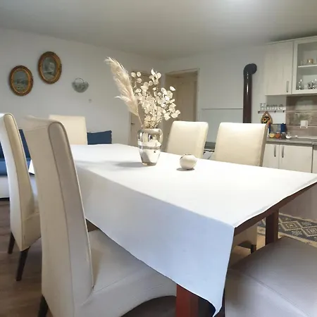 Tatil Evi Stari Dud Beserovina Bajina Basta