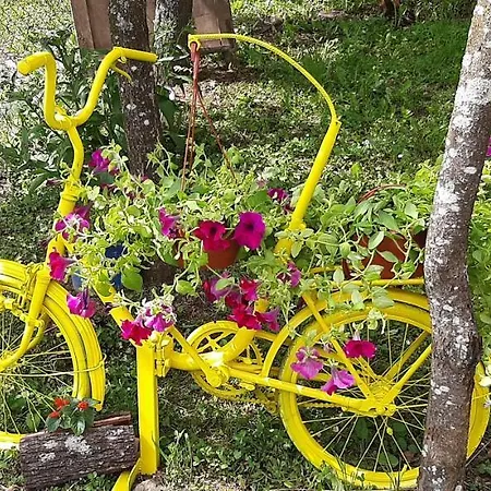 Hébergement de vacances Stari Dud Beserovina