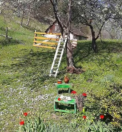 Hébergement de vacances Stari Dud Beserovina