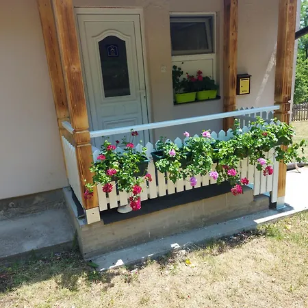 Stari Dud Beserovina Tatil Evi *