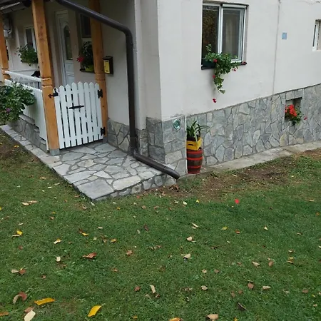 Tatil Evi Stari Dud Beserovina Bajina Basta