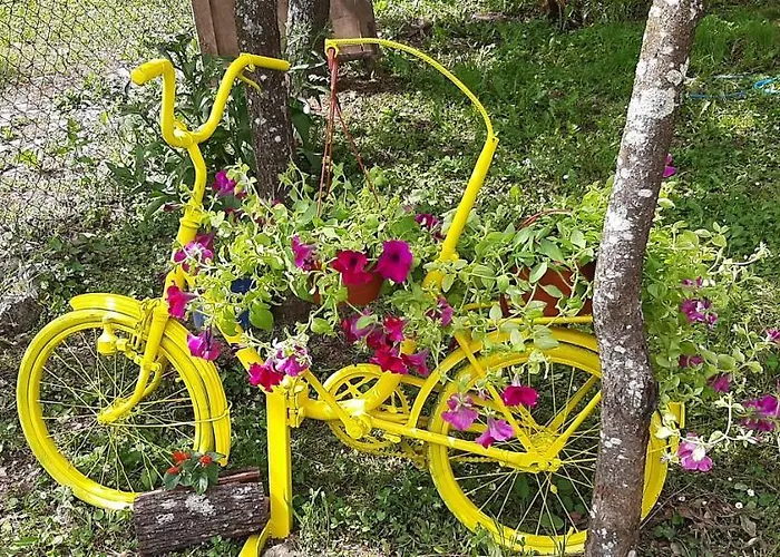 Tatil Evi Stari Dud Beserovina