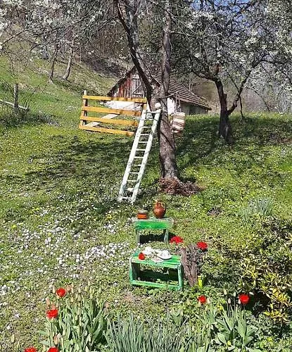 Tatil Evi Stari Dud Beserovina