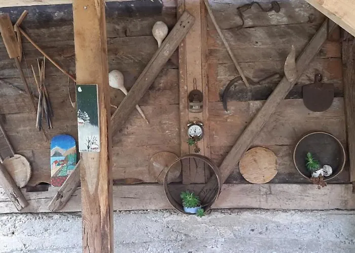 Stari Dud Beserovina Tatil Evi Bajina Basta