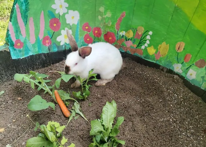 Stari Dud Beserovina Tatil Evi *